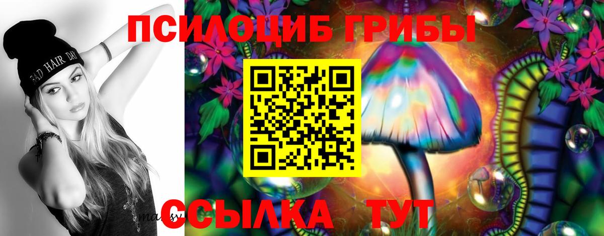 Краснодар  Псилоцибиновые грибы Psilocybine cubensis  Вход с VPN 