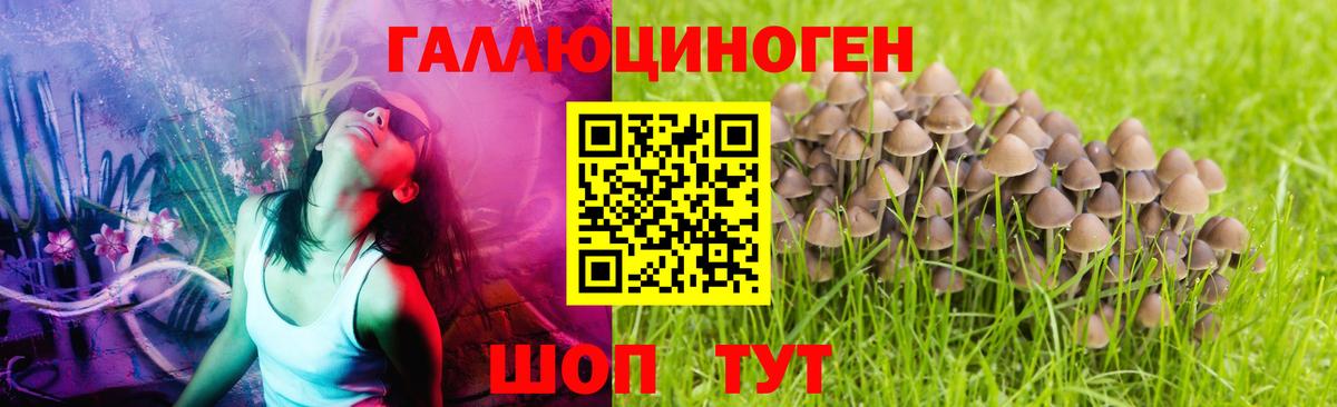 Псилоцибиновые грибы MAGIC MUSHROOMS Краснодар