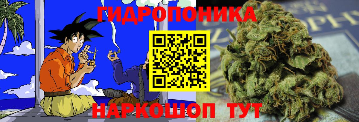 Марихуана сатива Краснодар